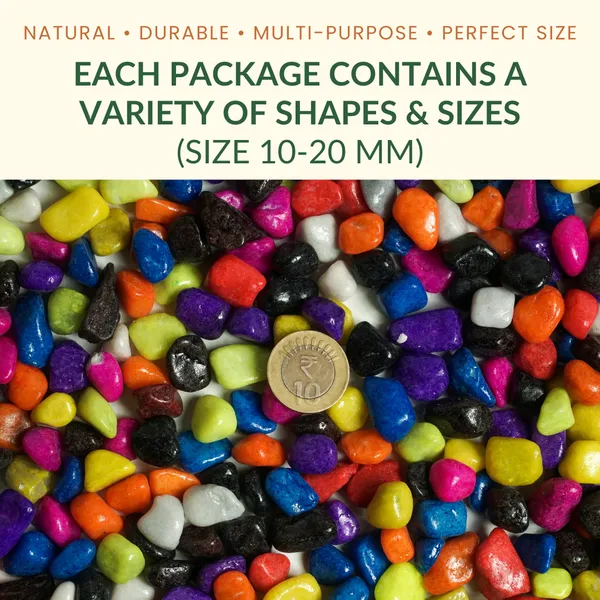 GARDENBASICS_Multicolor_Gravels_|_Pebbles_for_Plants_Pots_|_Decorative_Pebbles_Stones_for_Garden_|_Pebble_Stones_for_Decoration_|_River_Rocks_for_Potted_Indoor_Planters_|_Fish_Tank_Aquarium_|_1_KG