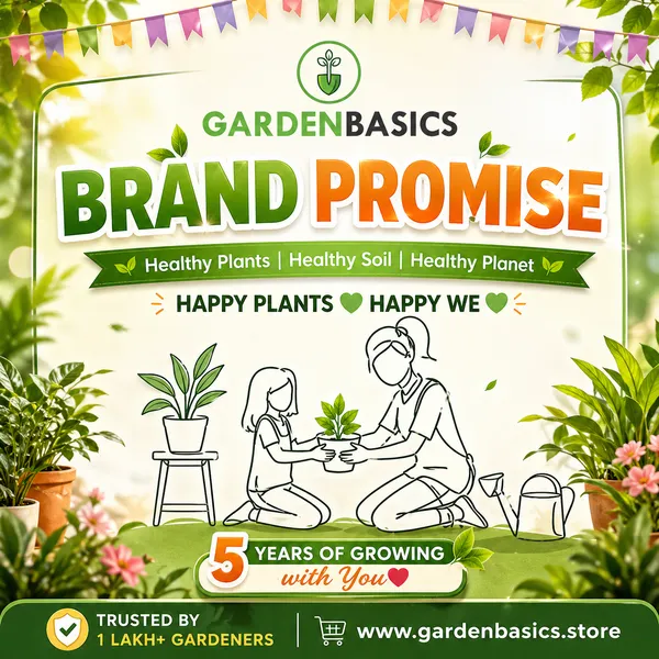 Hdpe_260_Gsm_Rectangular_Grow_Bag_(24X18X9_Inch)_|_Heavy_Duty_Vegetable_Planter_|_Reusable_Uv_Stabilized_Grow_Bags_For_Terrace_Balcony_&_Kitchen_Garden_|_Ideal_For_Leafy_Plant_&_Herbs