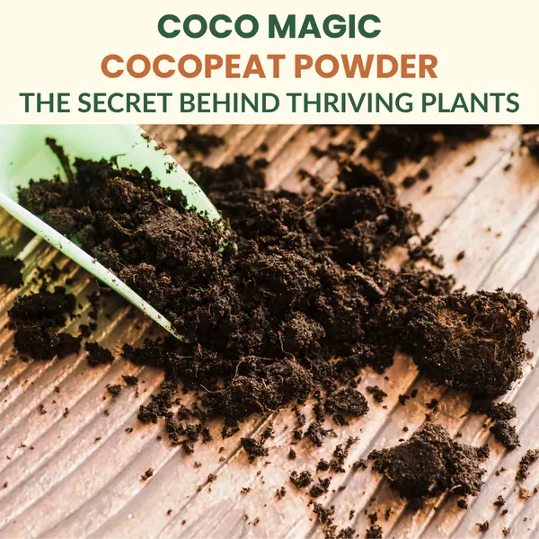GARDENBASICS_COCO_MAGIC_Cocopeat_Powder_with_Added_Nutrients_|_Ready_to_Use_Organic_Growing_Medium_|_Better_Root_Growth,_Faster_Seed_Germination_|_Natural_Coco_Coir_Soil_Conditioner_for_Plants(2.5_kg)