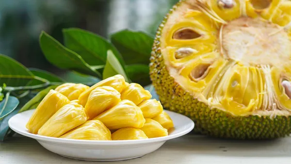 Green_Jackfruit_Plant_Kathal_Fruit_Live_For_Outdoor