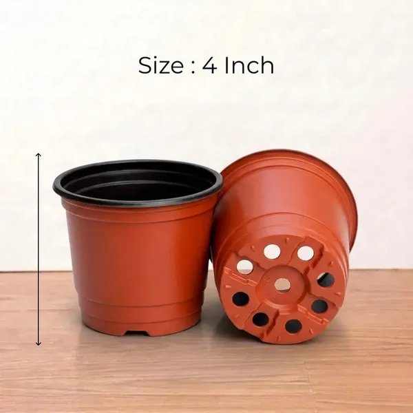 GachhMela 4 Inch Nursery Pot for Home Gardening | pack of 2 Price in India  - Buy GachhMela 4 Inch Nursery Pot for Home Gardening | pack of 2 online at  https://gachhmela.com