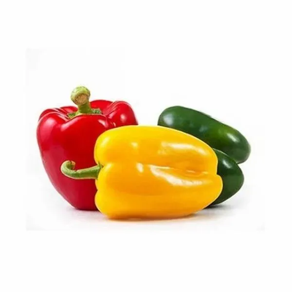 5_Vegetable_Seeds_Combo_Pack_â€“_Tomato,_Chilli,_Brinjal,_Pumpkin_&_Capsicum_Seeds_for_Home_Garden_(25+_Seeds_Each_Pack)