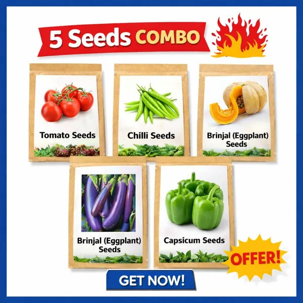 5_Vegetable_Seeds_Combo_Pack_â€“_Tomato,_Chilli,_Brinjal,_Pumpkin_&_Capsicum_Seeds_for_Home_Garden_(25+_Seeds_Each_Pack)