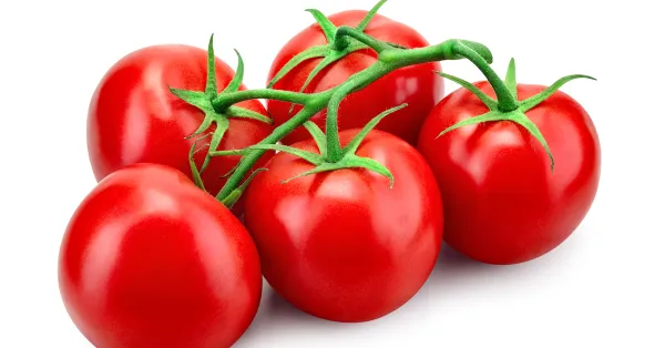 5_Vegetable_Seeds_Combo_Pack_â€“_Tomato,_Chilli,_Brinjal,_Pumpkin_&_Capsicum_Seeds_for_Home_Garden_(25+_Seeds_Each_Pack)