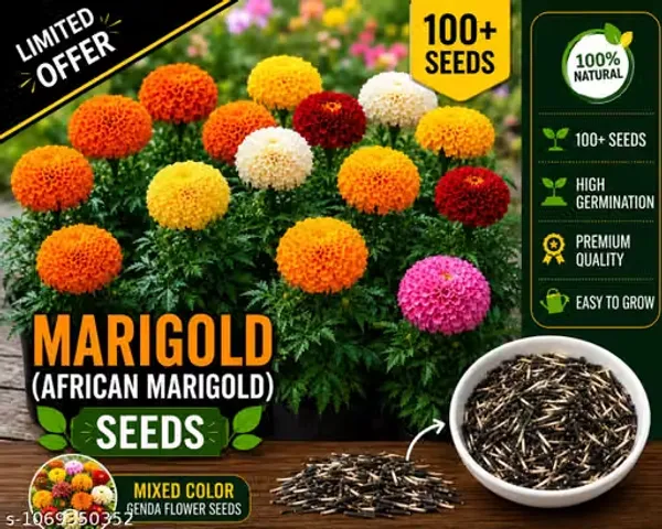 Best_Quality_Marigold_Flower_Seeds_(100_Seeds)_|_High_Germination_Genda_Flower_Seeds_for_Home_Gardening