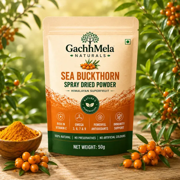 GachhMela_Naturals_Sea_Buckthorn_Spray_Dried_Powder_|_Himalayan_Superfruit_|_Rich_in_Vitamin_C_&_Omega_3,6,7,9_|_50g