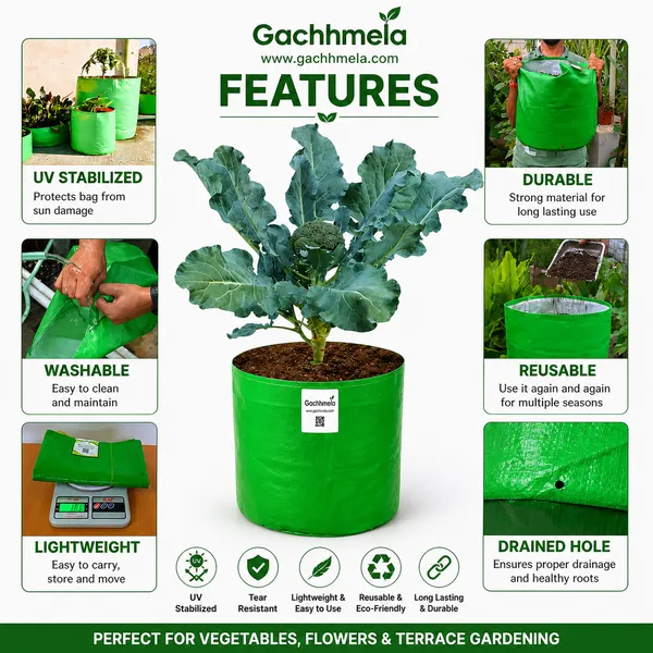 HDPE_10×10_Cylindrical_Grow_Bag_–_260_GSM_|_UV-Stabilized_Round_Grow_Bag_for_Vegetables_&_Flowers