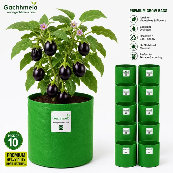 HDPE_10×10_Cylindrical_Grow_Bag_–_260_GSM_|_UV-Stabilized_Round_Grow_Bag_for_Vegetables_&_Flowers