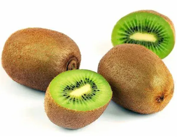 Hybrid_Kiwi_Fruit_Plant_(Actinidia_deliciosa)_–_High_Yield_Exotic_Fruit_Plant_|_Live_Healthy_Sapling