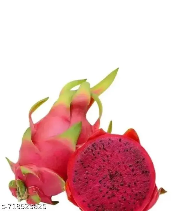 Red_Pink_Dragon_Fruit_For_Outdoor
