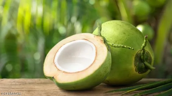 Green_Coconut_Fruit_For_Outdoor