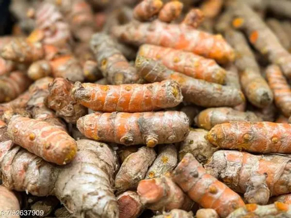 Yellow_Fresh_Raw_Turmeric_Kacchi_Haldi_100G_Natural_Organic_Root_For_Cooking_Health_Outdoor