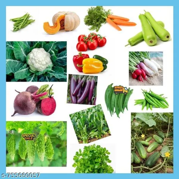 Multicolor_15_Variety_Vegetable_Seeds_Bank_Combo_Pack_For_Home_Gardening_Tomato_Brinjal_Chilli_Pumpkin_Carrot_Beans_Lauki_Cucumber_Cauliflower_More_Kitchen_Garden_Starter_Kit_Outdoor