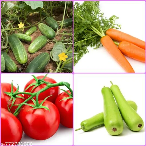Multicolor_4_Variety_Vegetable_Seeds_Combo_Pack_For_Home_Gardening_Cucumber_Carrot_Tomato_Bottle_Gourd_High_Germination_Outdoor