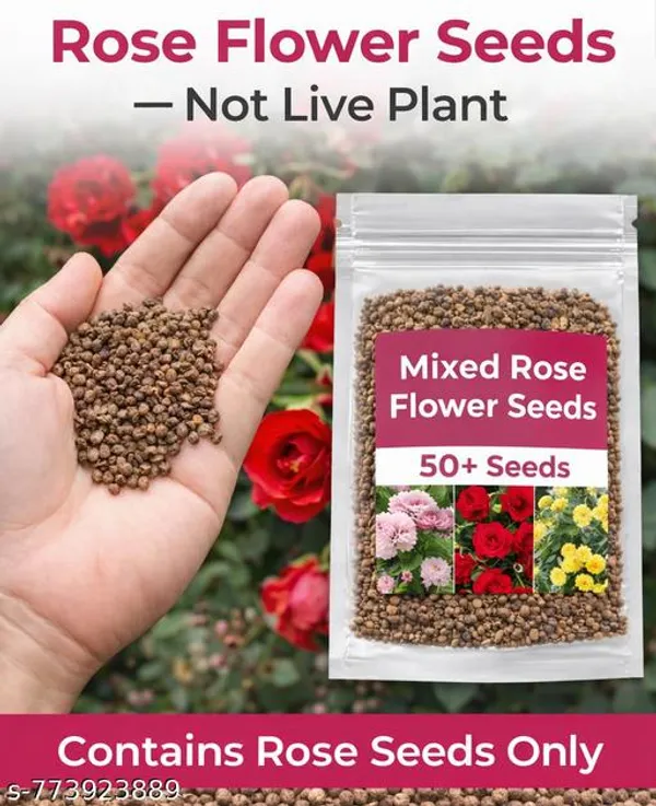 Red_Pink_And_White_Mixed_Rose_Flower_Seeds_50_Multi_Color_For_Home_Garden_Balcony_Terrace_Gardening_Not_Live_Plant_Outdoor