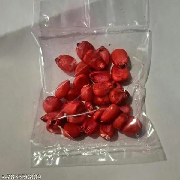 Red_Premium_Hybrid_Sweet_Corn_Seeds_Maize_High_Yield_15_Pack_For_Farming_Kitchen_Garden_Outdoor