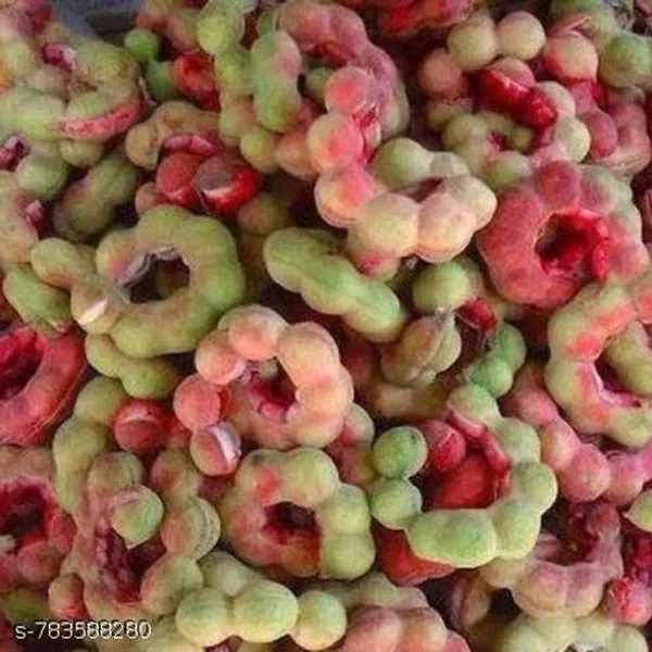 Pink_Jungle_Jalebi_Seeds_Fruit_For_Outdoor