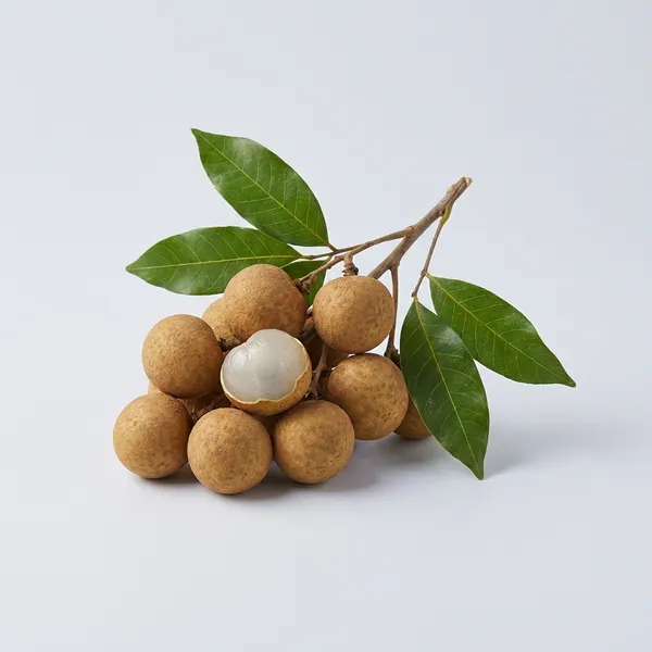 Brown_Asfol_Fruit_Hybrid_Plant_For_Outdoor