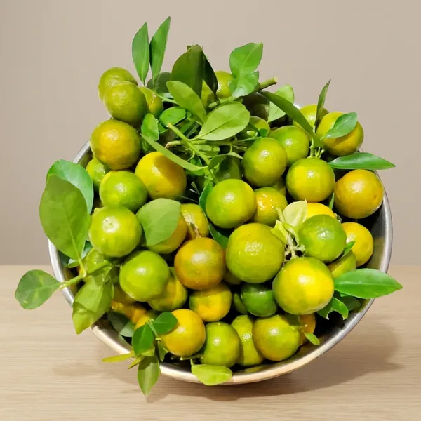 Green_Lemon_Plant_For_Outdoor