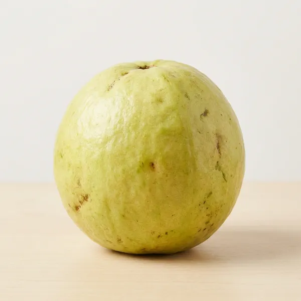 Green_Pink_Guava_Plant_For_Outdoor