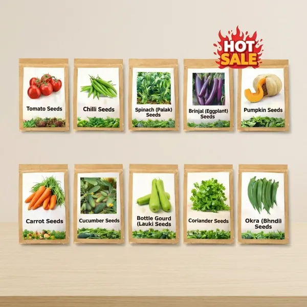 Multicolor_10_Variety_Vegetable_Seeds_Combo_Pack_Tomato_Chilli_Spinach_Brinjal_Okra_Carrot_Pumpkin_Cucumber_Bottle_Gourd_Coriander_For_Home_Growing_Outdoor