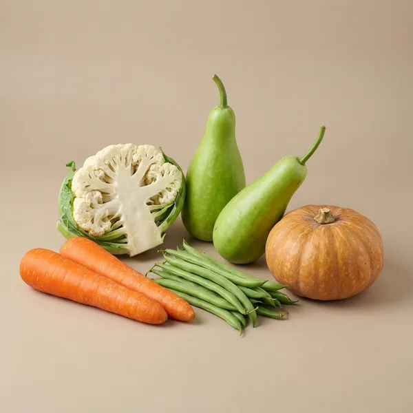 Multicolor_15_Variety_Vegetable_Seeds_Bank_Combo_Pack_For_Home_Gardening_Tomato_Brinjal_Chilli_Pumpkin_Carrot_Beans_Lauki_Cucumber_Cauliflower_More_Kitchen_Garden_Starter_Kit_Outdoor