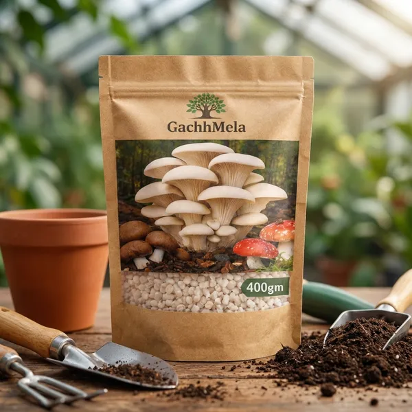 White_Premium_Oyster_Mushroom_Seeds_Spawn_Fresh_High_Yield_Gachhmela_For_Outdoor