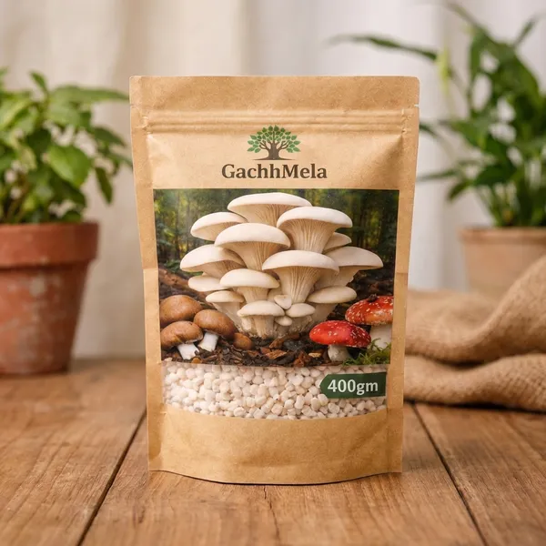 White_Premium_Oyster_Mushroom_Seeds_Spawn_Fresh_High_Yield_Gachhmela_For_Outdoor