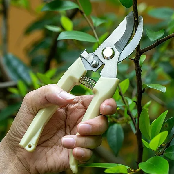Plant_Cutter_for_Home_Garden,_Wood_Bran_(1_Pc)