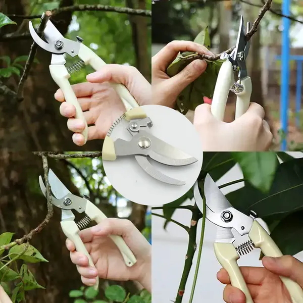 Plant_Cutter_for_Home_Garden,_Wood_Bran_(1_Pc)
