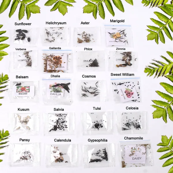 Seeds_20_Varieties_of_Flower_Seeds_Combo_(1_Pkt_/_20_Varieties)