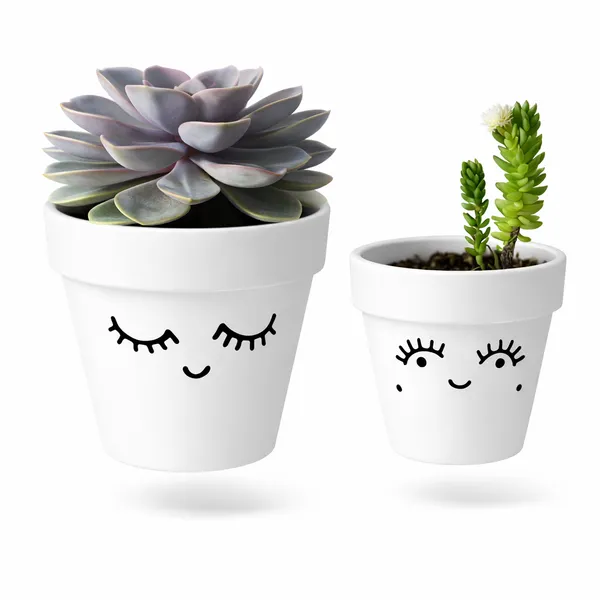 White_Hand_Painted_Cute_Face_Succulent_Pots_Set_Of_2_Potique