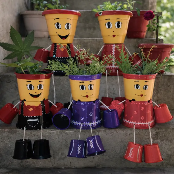 Red_Premium_Wonderful_Family_Pot