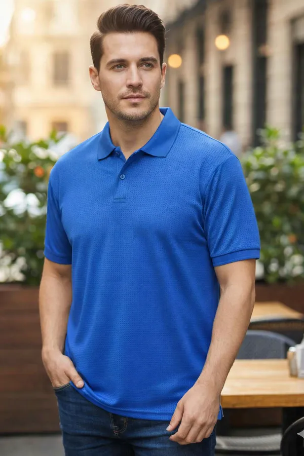 Blue_Solid_Classic_Collar_Half_Sleeve_Casual_Polo_T_Shirt