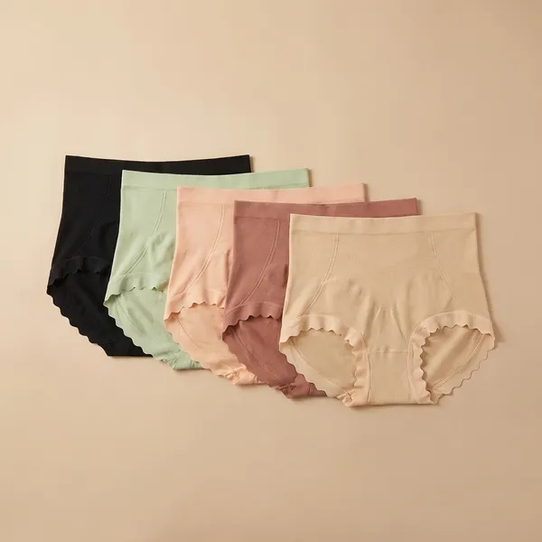 Multicolor_Nylon_And_Spandex_Underwear_For_Women_(Pack_of_5)