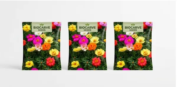 Portulaca_Seeds_-_Pack_Of_3