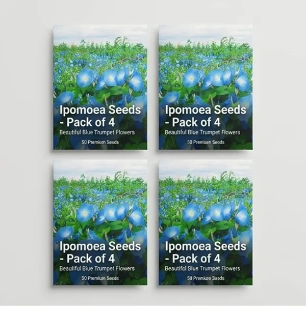 Ipomoea_Blue_Seeds_Pack_Of_4