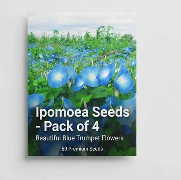 Ipomoea_Blue_Seeds_Pack_Of_4