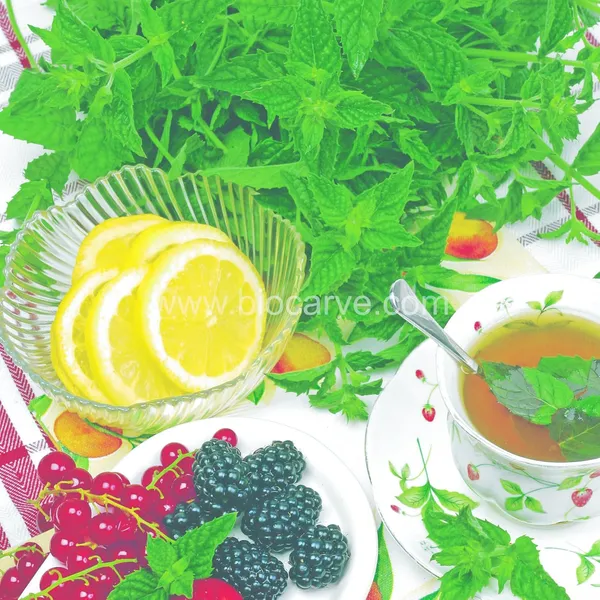 Mint_Seeds_-_Pack_Of_3