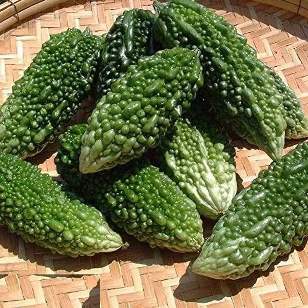 Bitter_Gourd_Seeds__Pack_Of_3