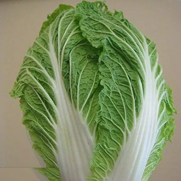 Chinese_Cabbage_Seeds_-_Pack_Of_5