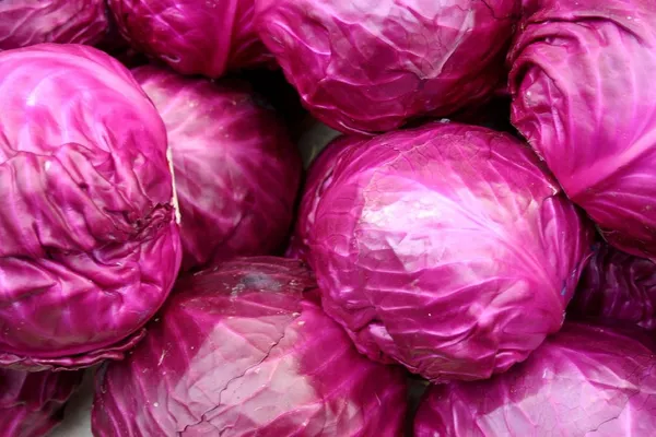 Red_Cabbage_Seeds_-_Pack_Of_5