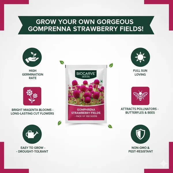 Gomphrena_Strawberry_Fields_Seeds_-_Pack_Of_4