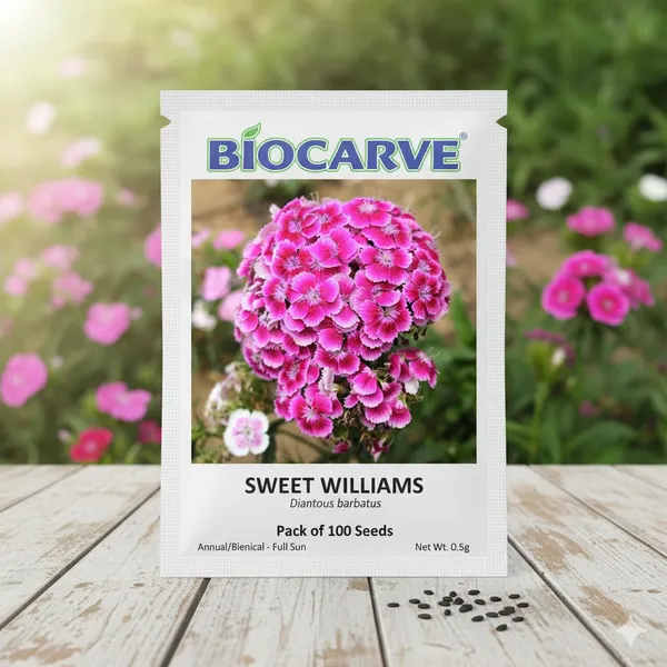 Sweet_William_Seeds_-_Pack_Of_4