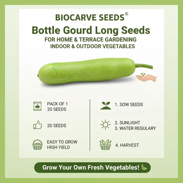 Bottle_Gourd_Seeds_-_Pack_Of_5