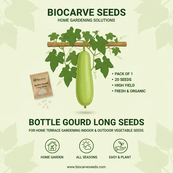 Bottle_Gourd_Seeds_-_Pack_Of_5