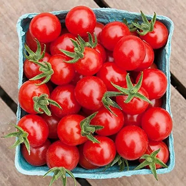 Tomato_Cherry_Seeds_-_Pack_Of_5