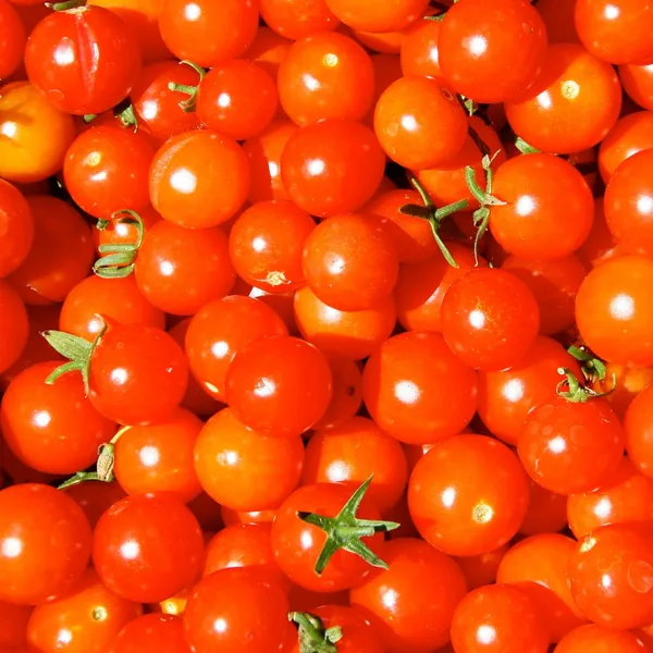 Tomato_Cherry_Seeds_-_Pack_Of_5