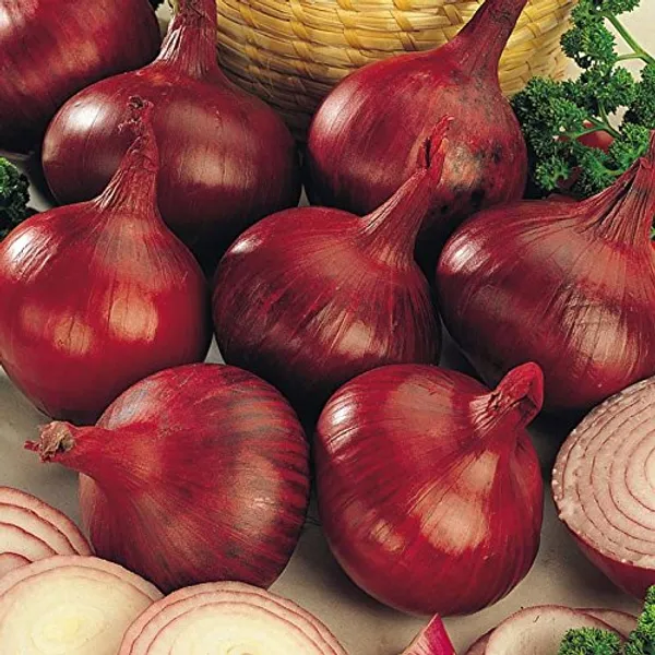 Red_Onion_Seeds_Pack_Of_5