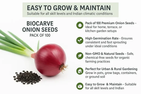Red_Onion_Seeds_Pack_Of_5